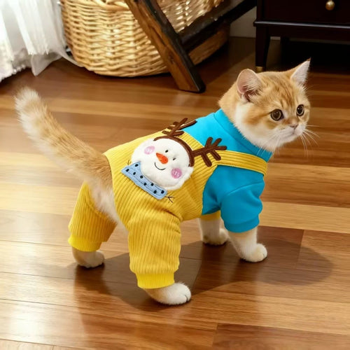 Cat toys collection