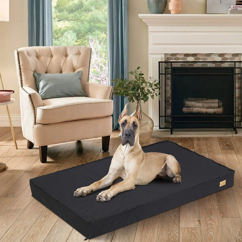 Dog beds collection